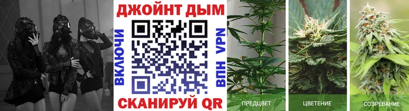 кракен ССЫЛКА  где можно купить   Хотьково  Шишки марихуана планчик 